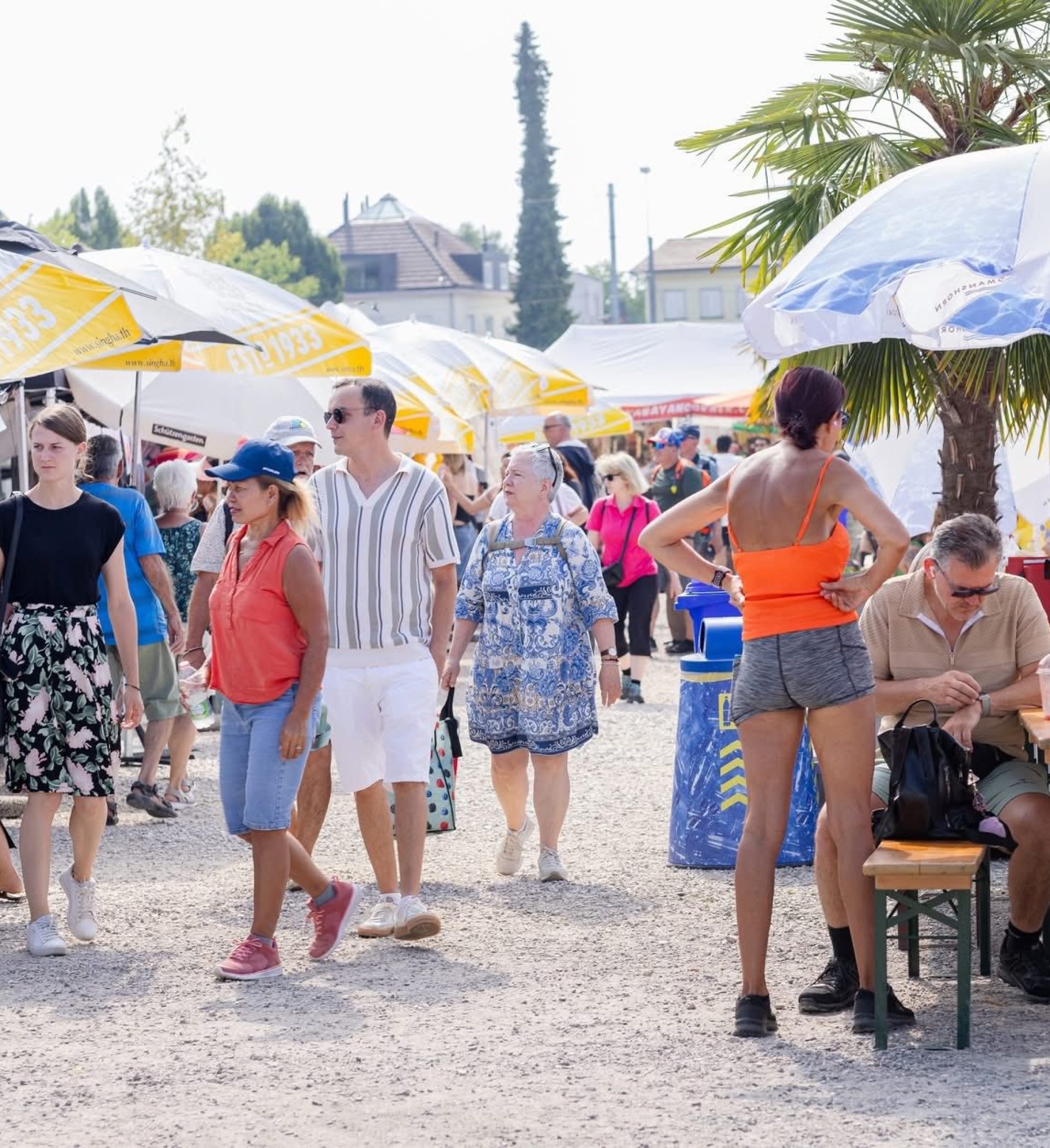 516505877_122114892014899524_1425863666819534003_n